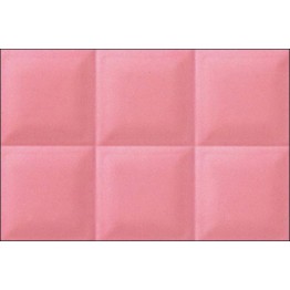 Gạch ốp tường Trường Thịnh WALL TILES EA4380